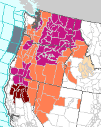 Heatwave continues in Northwest, flood-inducing fronts stall in ...